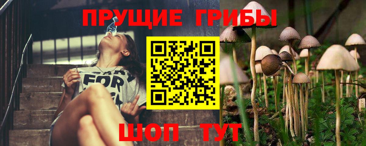 Галлюциногенные грибы ЛСД Донской